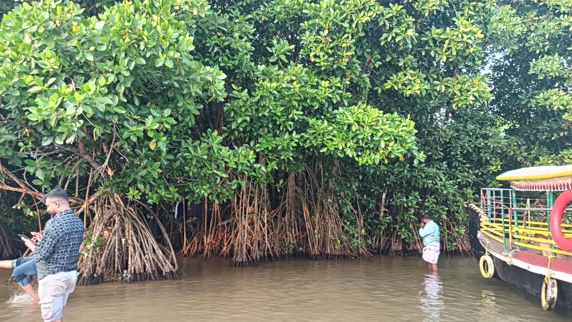 Dilkush Munroe Homestay Kollam Zewnętrze zdjęcie